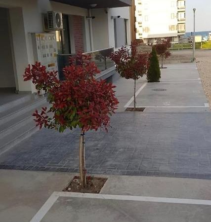 Mamaia Nord Apartament 18 Navodari Exterior photo